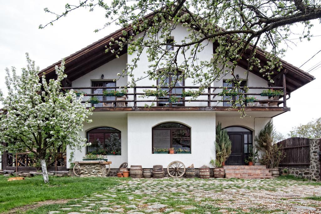 Casa Mosului 4* Cîrţişoara