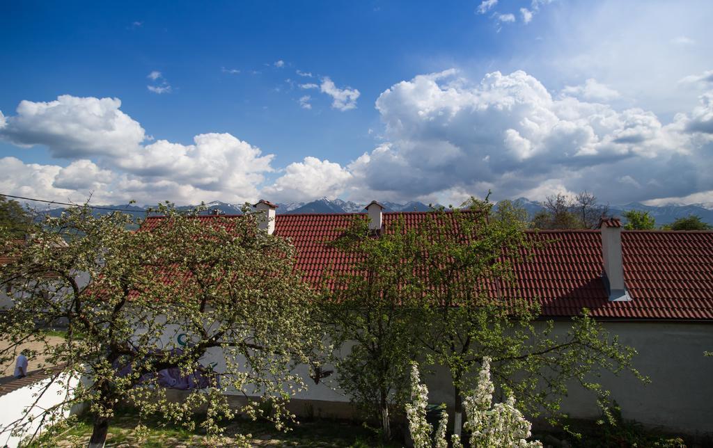 Casa Mosului Pensiune 4*
