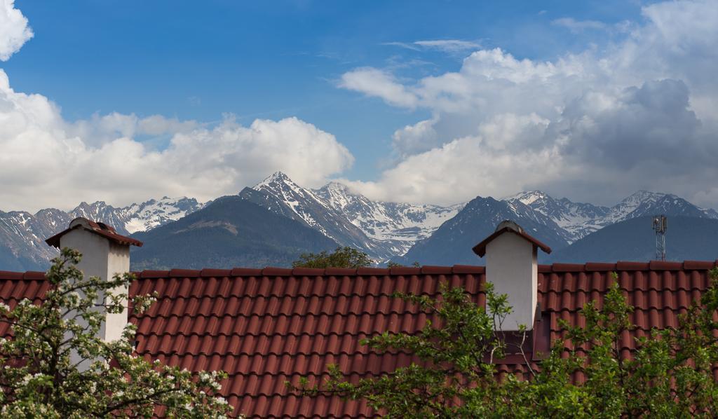 Casa Mosului - Transfagarasan 4* Cartisoara